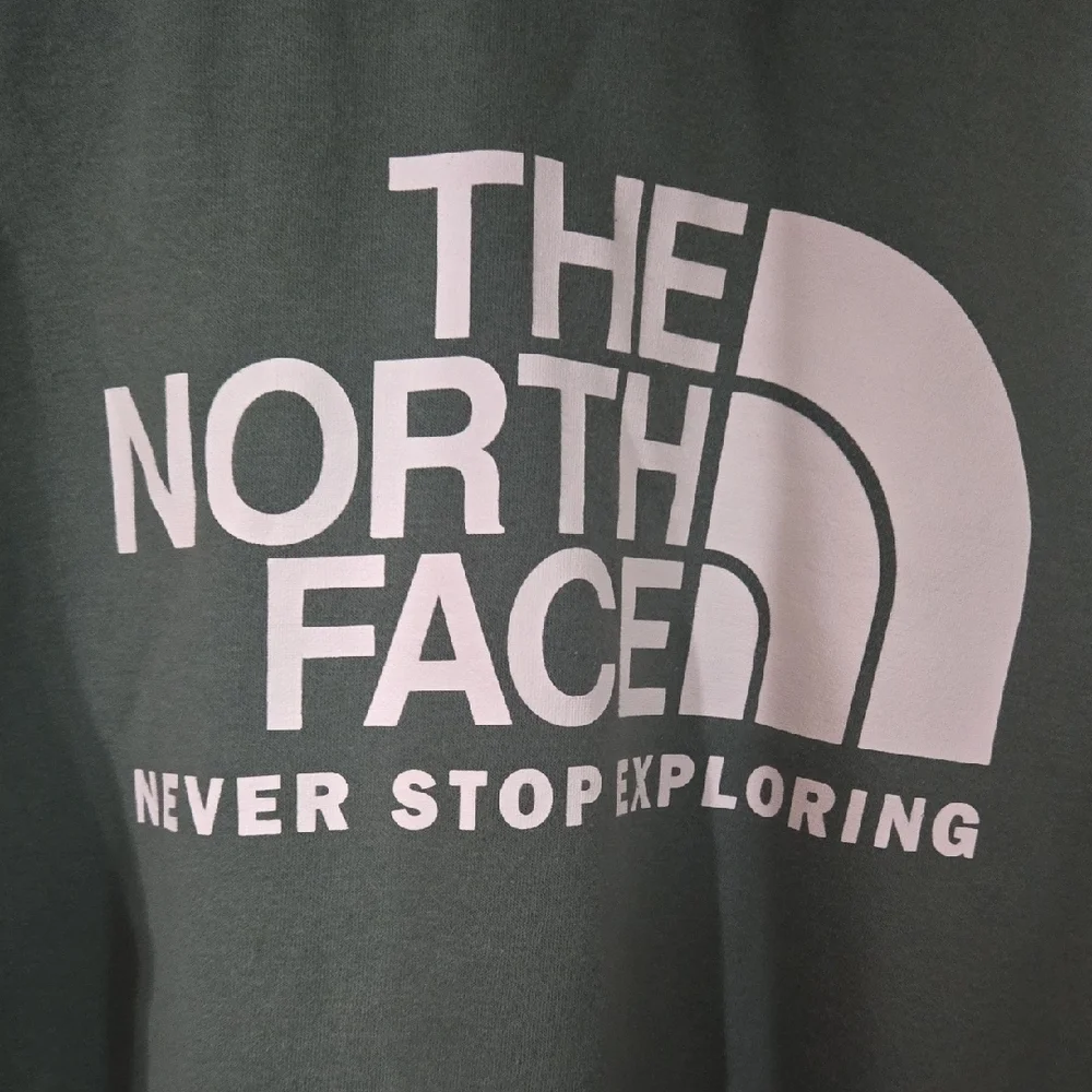 The North Face Men's Olive Hoodie